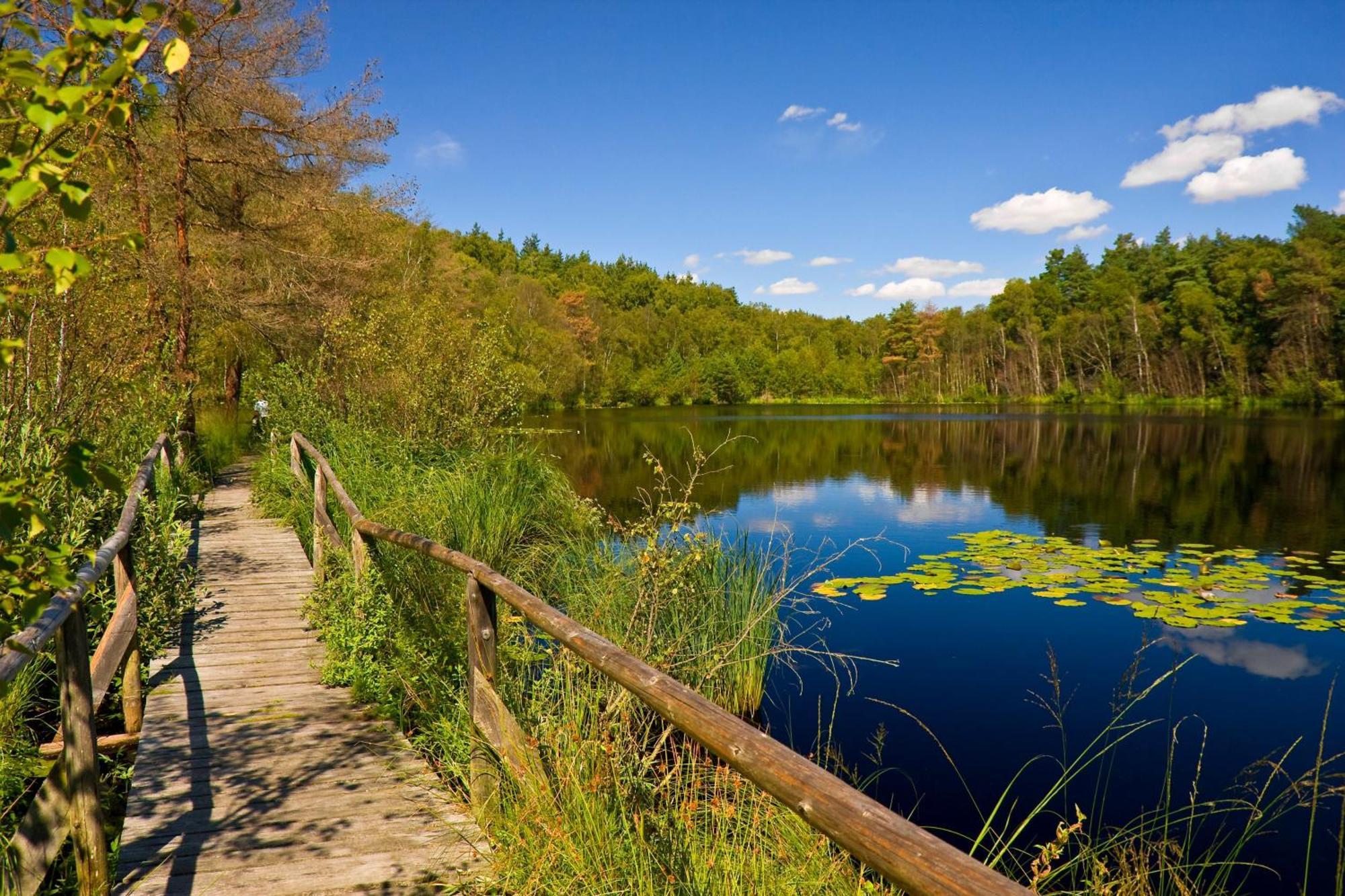 Landhaus Mueritzgarten Hotel Garni Рёбель Экстерьер фото